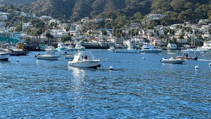Un port de plaisance où sont amarrés des bateaux, entouré de bâtiments résidentiels et avec des collines en arrière-plan.