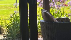 Une chaise en osier avec un coussin, une vue sur un jardin aux fleurs violettes et une terrasse en pierre.