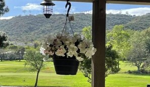 Property grounds - Fall sale! Prime location! Enjoy the safety, comfort, tranquility & beauty (Dana Point)