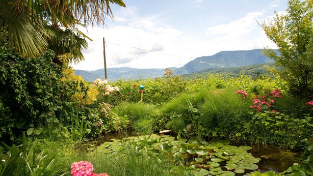 Un jardin luxuriant avec un étang, diverses plantes et, au loin, une chaîne de montagnes.
