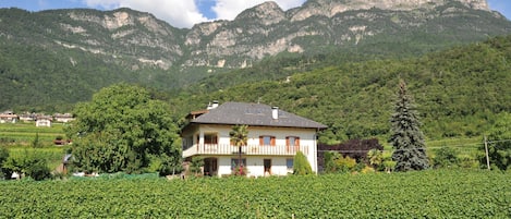 A two-story house with a balcony, surrounded by a vineyard, with mountains in the background.