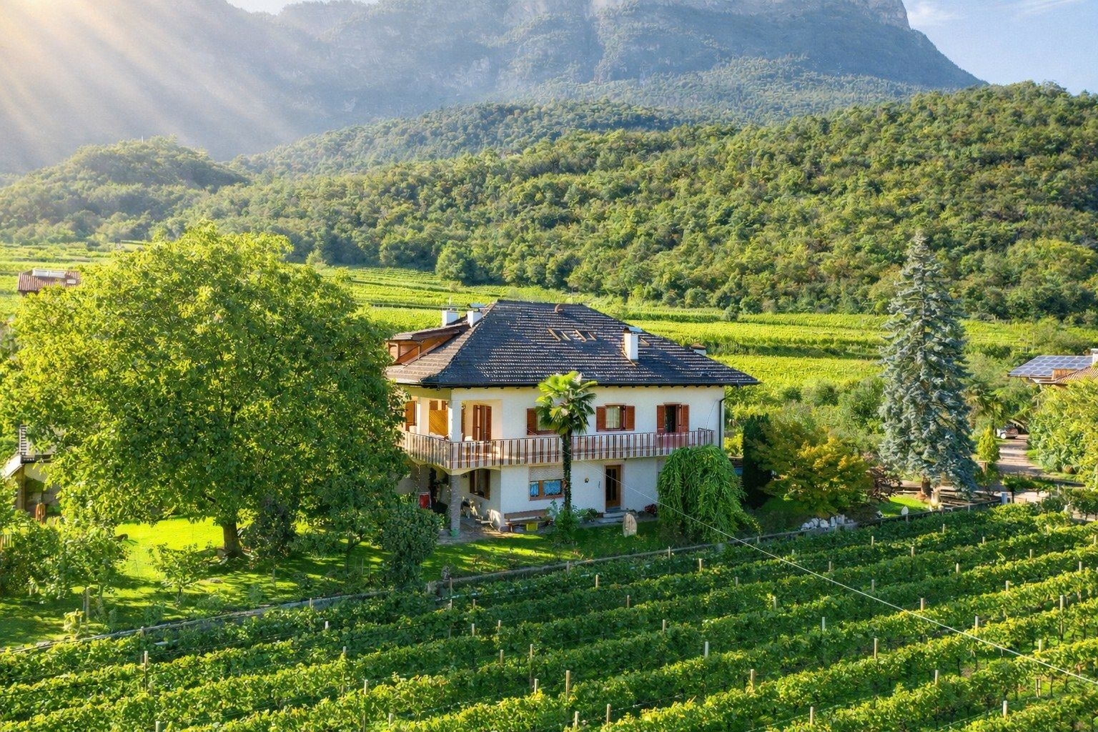 Ein zweistöckiges Haus mit Balkon, umgeben von üppigen, grünen Weinbergen und einer Bergkulisse.