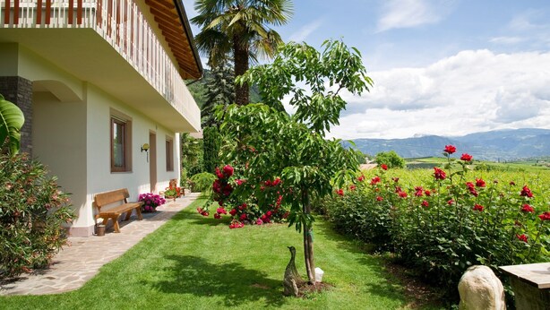 A house with a balcony, a garden with roses, and a view of mountains.