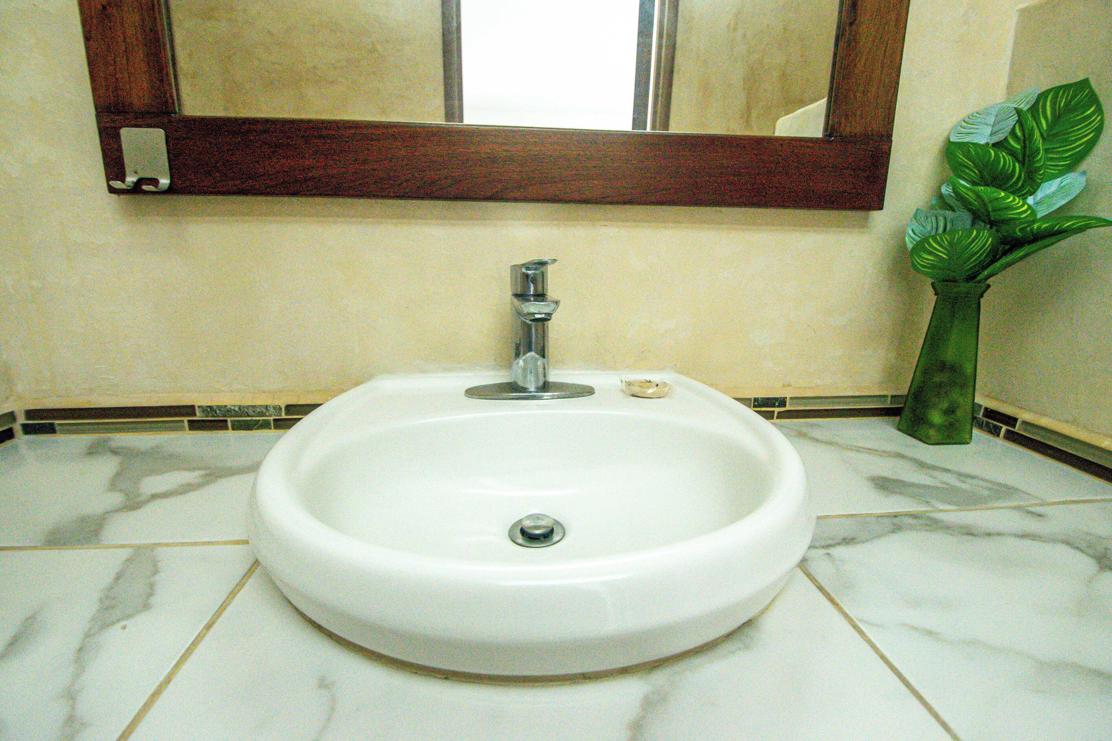 Un baño con un lavabo blanco, un espejo y una planta verde.