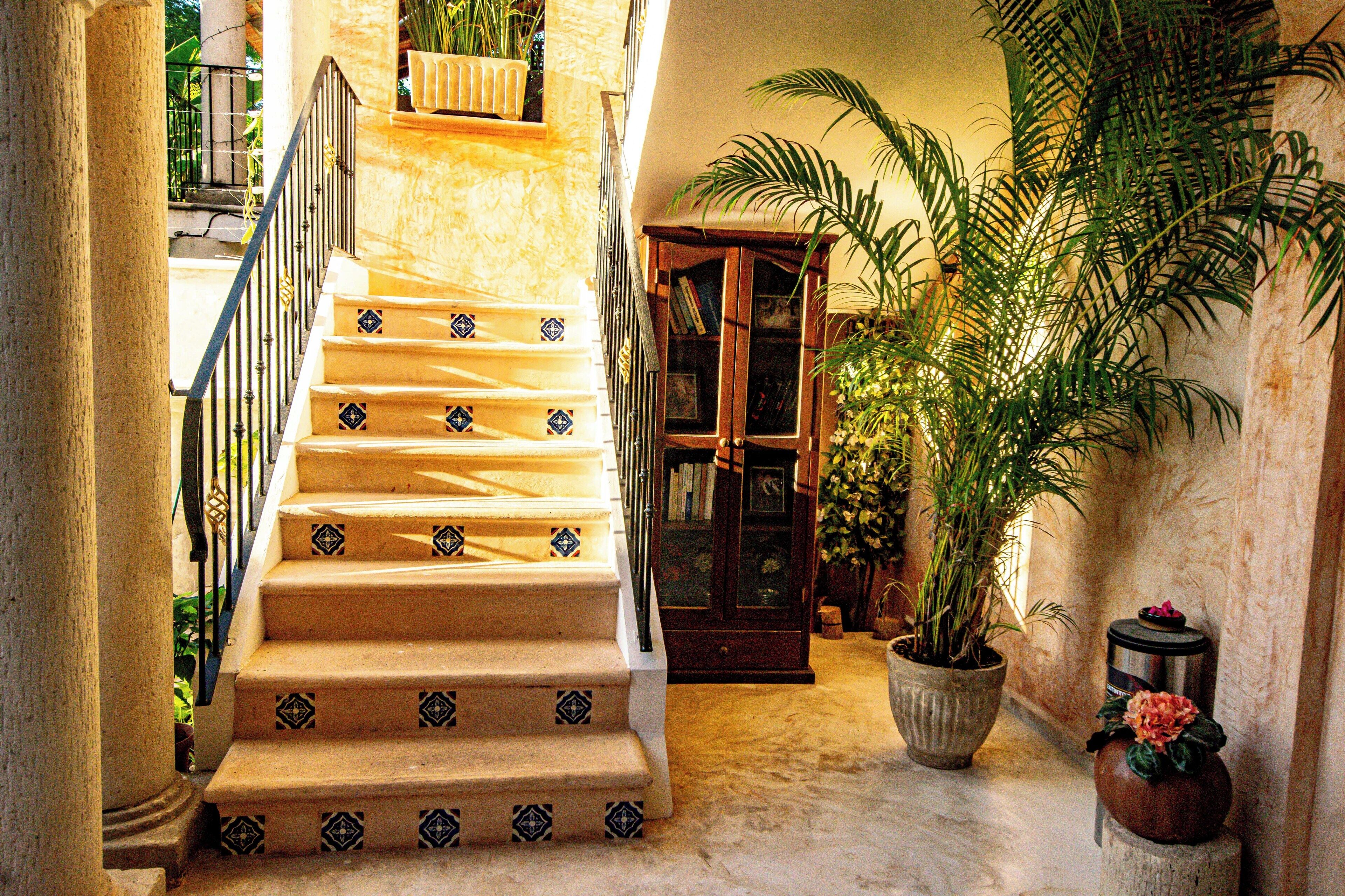 Una escalera con peldaños decorativos que conduce a una plataforma, un armario de madera y una planta en maceta.