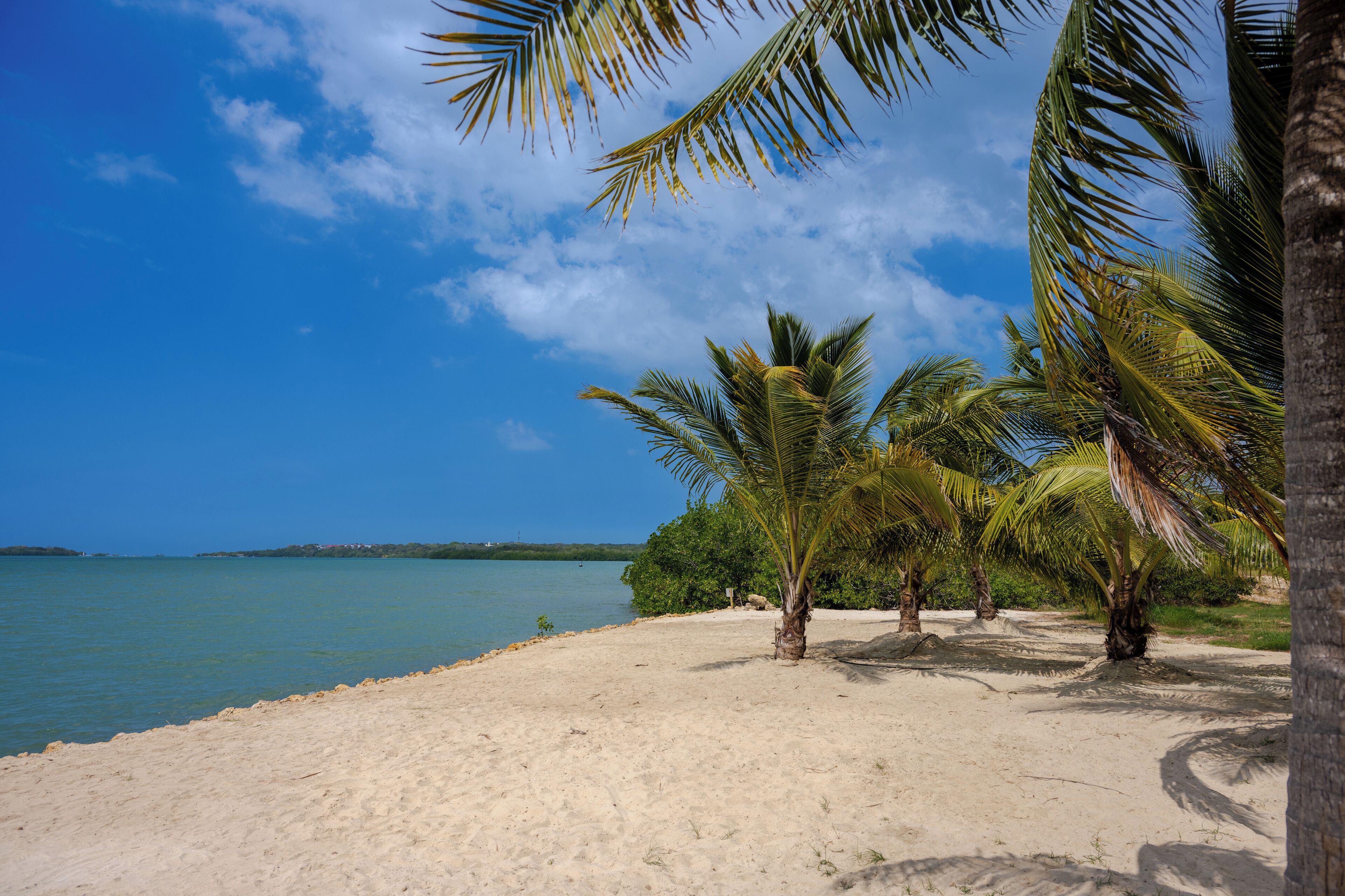 サンラウンジャー、ビーチタオル