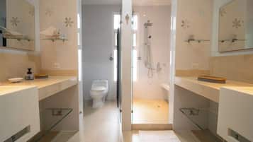 Ducha, secador de pelo, toallas y papel higiénico