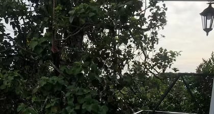La casa del árbol
