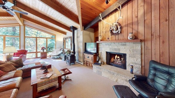 TV, DVD player, video library