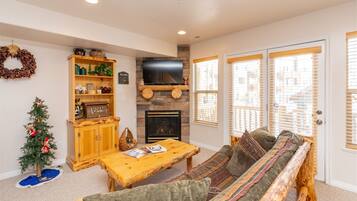 電視、壁爐、DVD 播放機