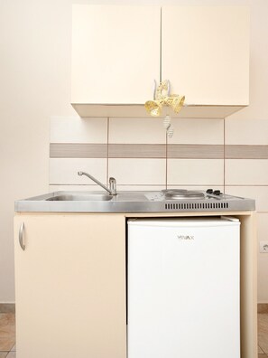 Fridge, stovetop, toaster, cookware/dishes/utensils