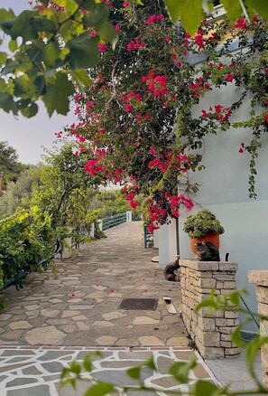 บริเวณภายนอก