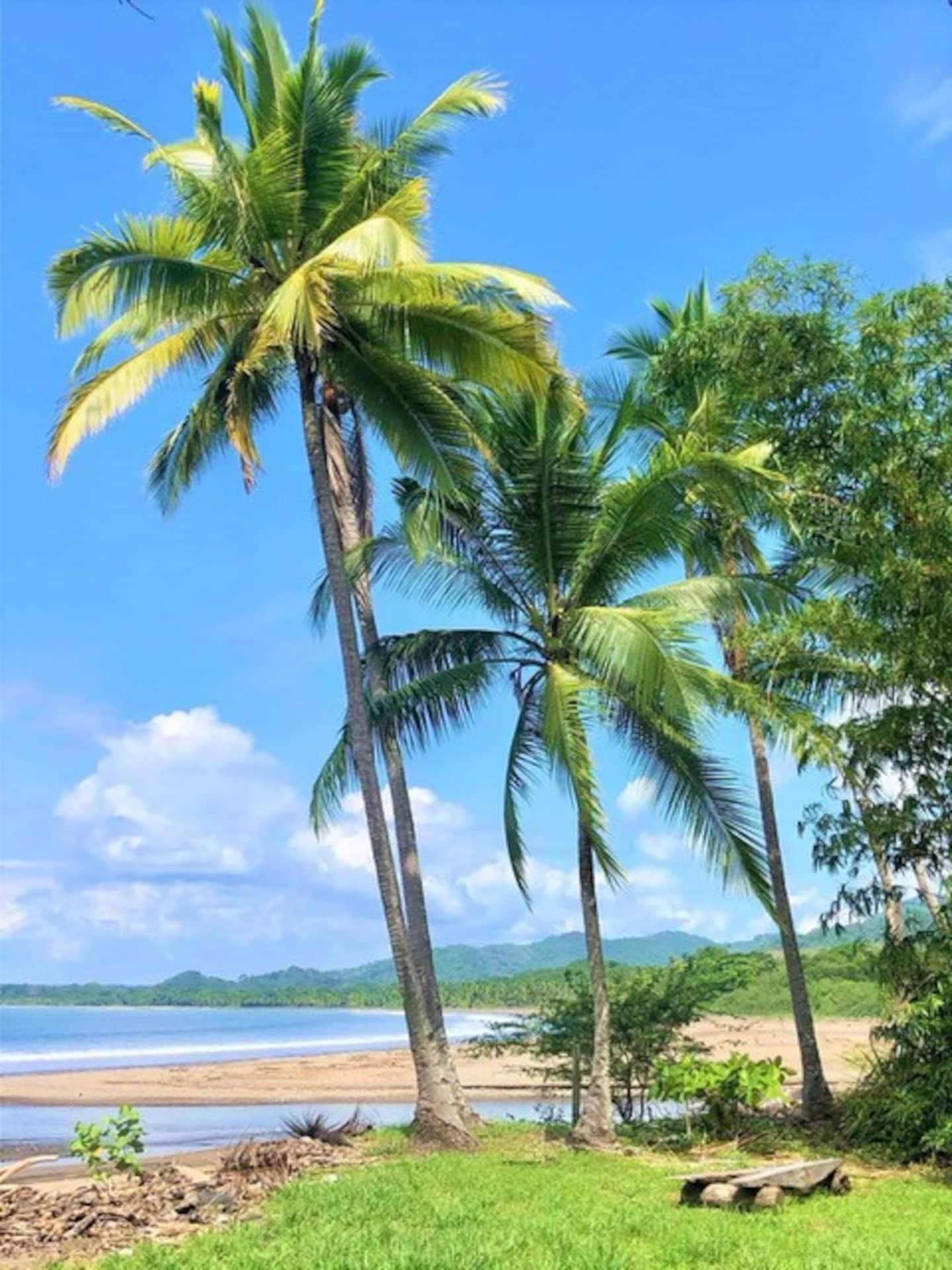 海滩