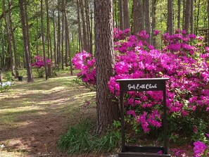 Overnattingsstedets uteområder