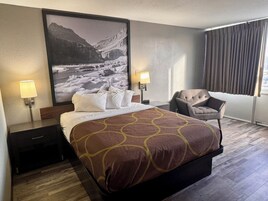 Room, 1 Queen Bed, Non Smoking | Desk, laptop workspace, blackout drapes, iron/ironing board