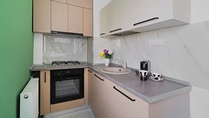 A compact kitchen with a gas stove, oven, and a sink with a vase of flowers. - Cismigiu Park Studio - Fresh & Serene Flat with Light-Filled Interiors (Bucharest)