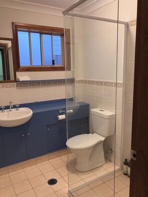Ein Badezimmer mit Duschkabine, Waschbecken und Toilette.