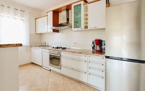 Fridge, oven, stovetop, dishwasher