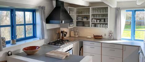 Fridge, stovetop, dishwasher, coffee/tea maker