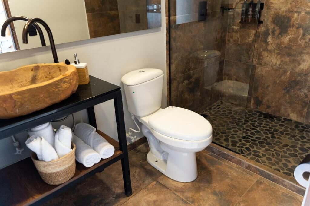 Une salle de bain avec un lavabo en pierre, des toilettes et un espace douche.