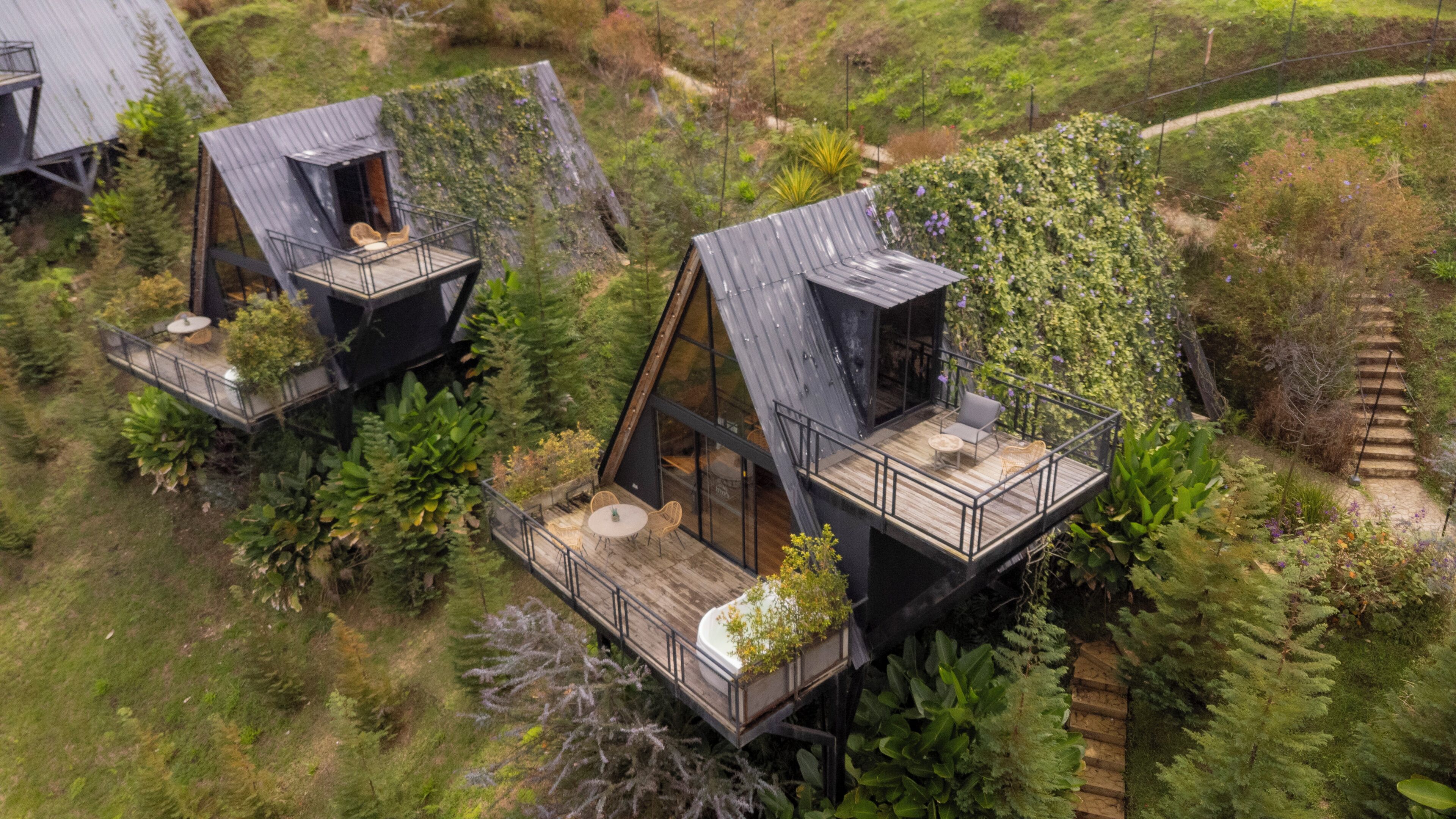 Tres cabañas estilo casa del árbol con asientos exteriores y un cerramiento de cristal, rodeadas de abundante vegetación.