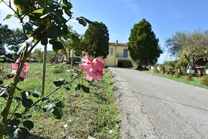 Área da propriedade