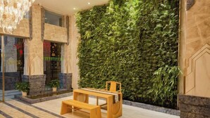 Un hall con un jardín vertical de hojas verdes, un banco de madera y una araña.