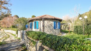 Exterior - 4 bedroom lovely home in Ricadi (Ricadi)