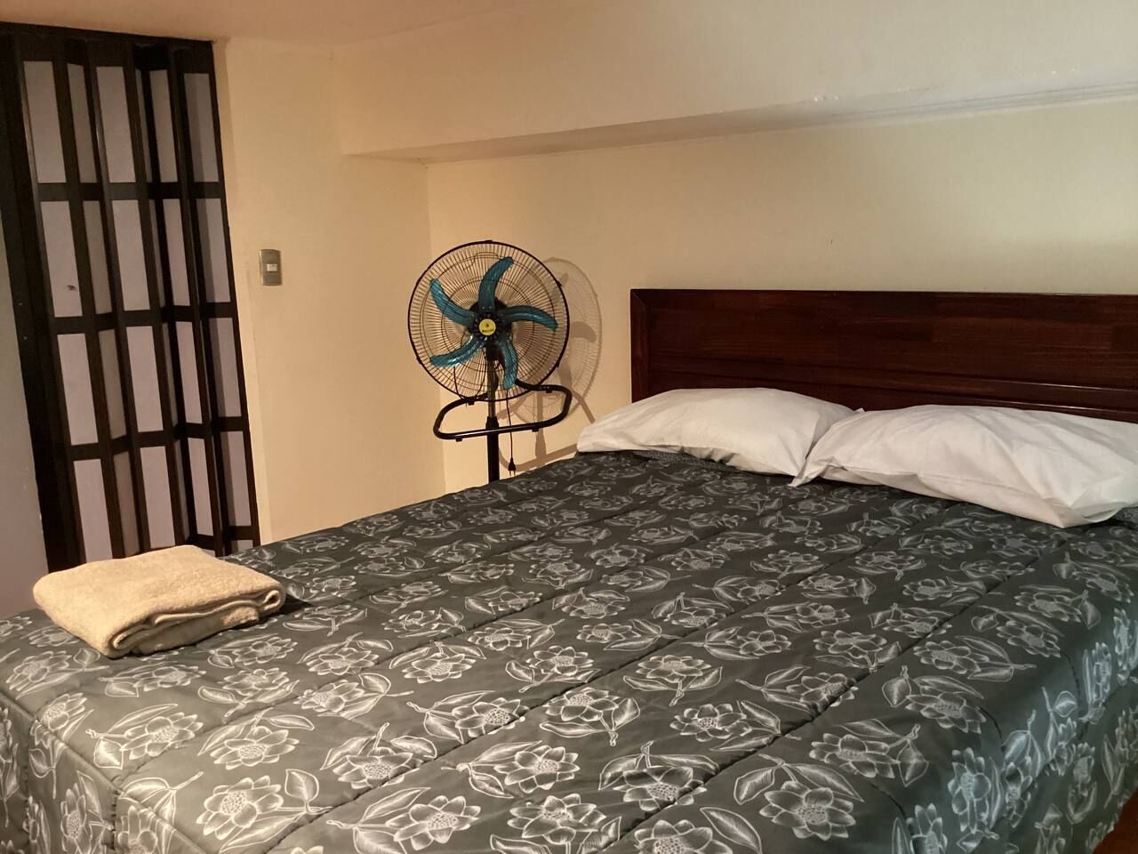 Foto - Edificio catedral