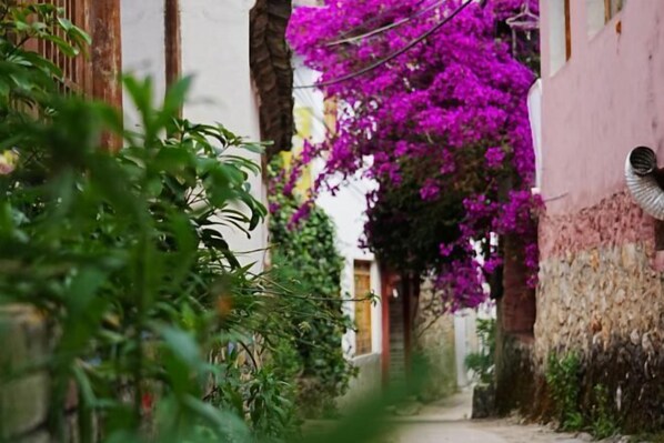 Garden - Lijiang Jiubai Courtyard Inn (Lijiang)