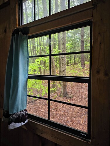 Cub Cabin: Charming cabin with WiFi in Freeville - perfect for a cozy getaway