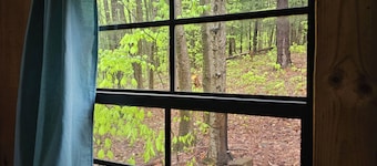 Cub Cabin: Charming cabin with WiFi in Freeville - perfect for a cozy getaway