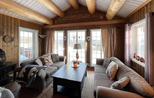 Smart TV y chimenea 