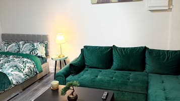 Apartment | Living area | TV