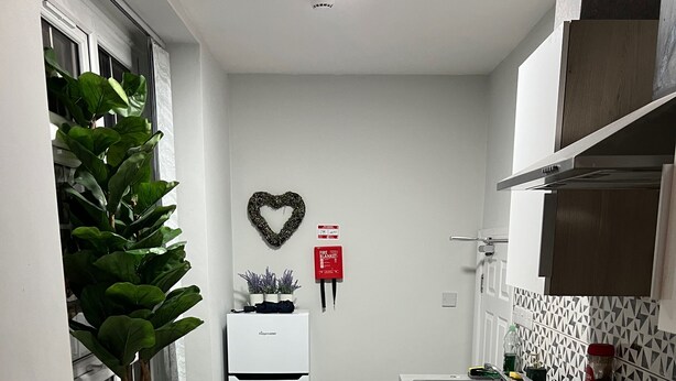 Een moderne keuken met een inbouwoven, een spoelbak en een kookplaat. Op de vensterbank staat een potplant en aan de muur hangt een decoratie in de vorm van een hart.