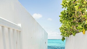 A narrow concrete staircase leading to a beach, with a white wall on one side and a plant on the other. - Exclusive Ocean Villa in Nassau (Nassau)