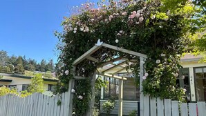 En pergola av trä, översållad med klätterrosor, ett trästaket och ett hus i bakgrunden.