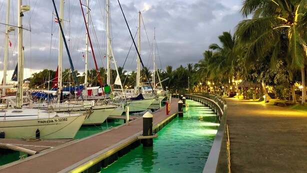 Ein Yachthafen mit vertäuten Booten, ein Wasserweg und ein von Palmen gesäumter Weg.