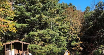 Cubby Cabin: Tiny cabin for one on the run!