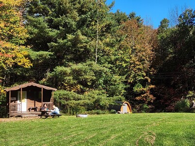 Cubby Cabin: Tiny cabin for one on the run!