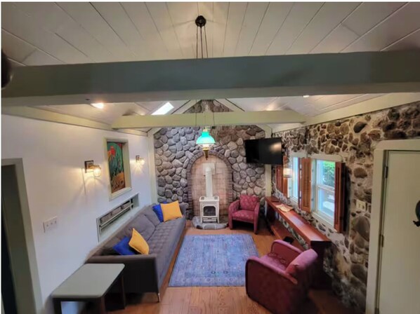 TV, fireplace, books