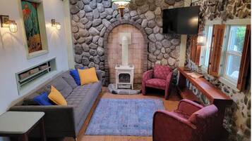 TV, fireplace, books