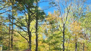 A rustic cabin with a picnic table and a sign reading "The Roost Cafe." - Meadow View Rustic Camping Cabin with WiFi (Freeville)