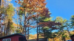A cabin with a red exterior and a blue exterior, surrounded by trees with autumn leaves. - Meadow View Rustic Camping Cabin with WiFi (Freeville)