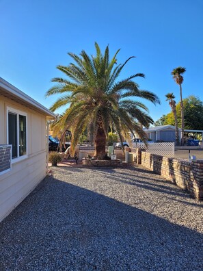 Zona residencial con una palmera grande en el centro, rodeada de grava y un muro de ladrillo.