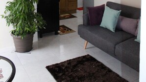 A living room with a grey sofa, a black rug, a ceiling fan, and a potted plant.