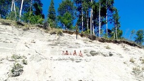 Een zandstrand met enkele mensen die op het zand zitten, omringd door bomen en een helderblauwe lucht.