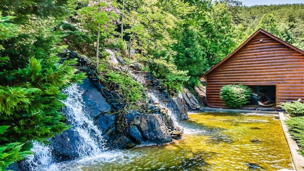 Una cabaña rústica con fachada de madera, un pequeño estanque con cascada y abundante vegetación alrededor.