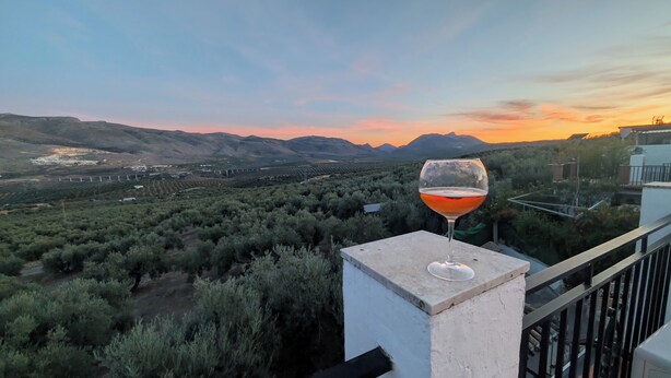 A glass of red wine on a balcony overlooking a vineyard with mountains in the background. - Escape & relaxation in the real Spain!
Amazing mountain vistas, pool with views (Cuesta Blanca)
