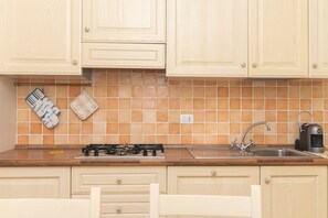 Fridge, oven, stovetop, cookware/dishes/utensils